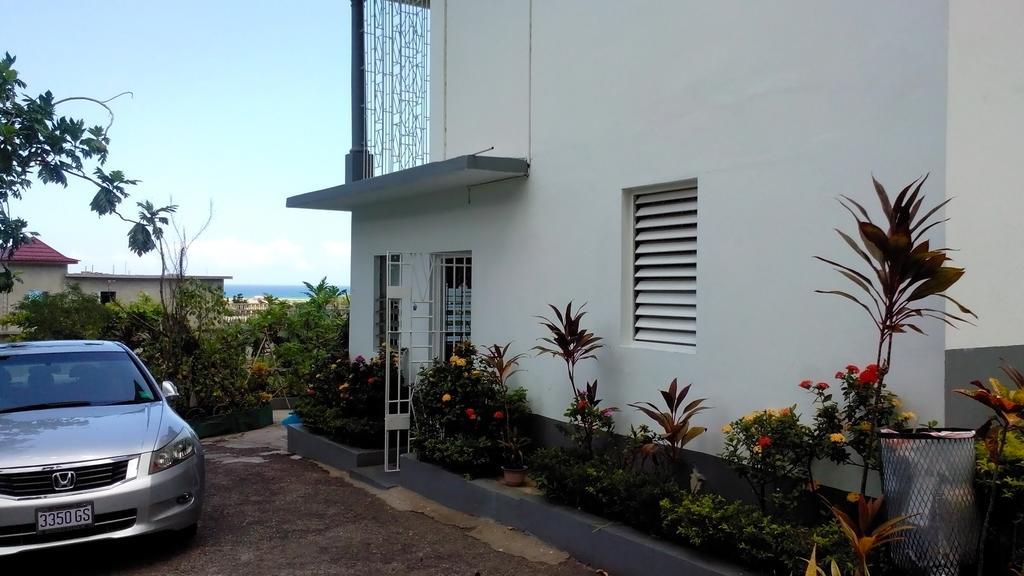 Palm View Guest House Montego Bay Exterior foto